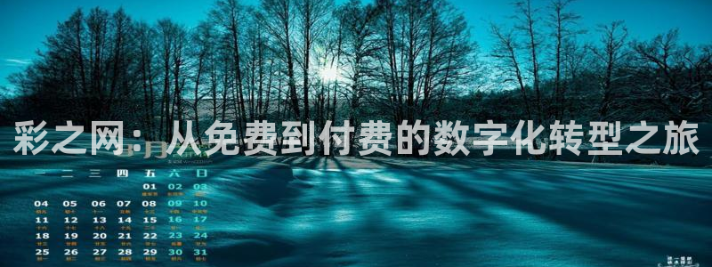 彩之网：从免费到付费的数字化转型之旅