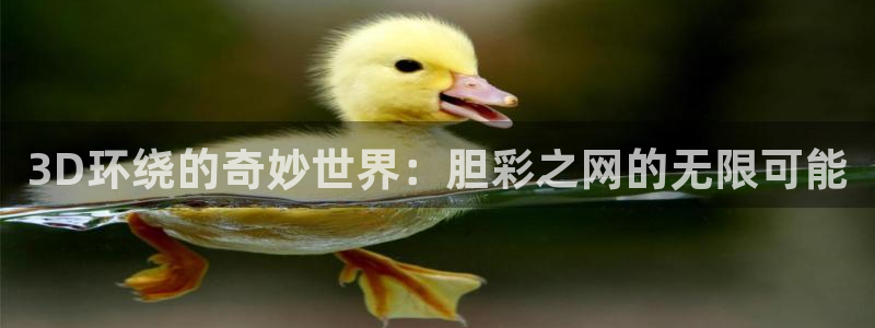 幸运彩官方下载
