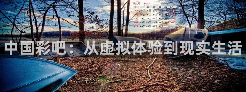 幸运彩welcome大厅购彩：中国彩吧：从虚拟体验到现实生活