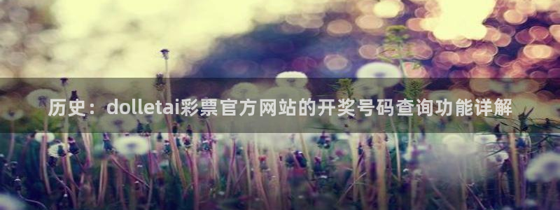 幸运彩仙推荐双胆：历史：dolletai彩票官方网站的开奖号码查询功能详解