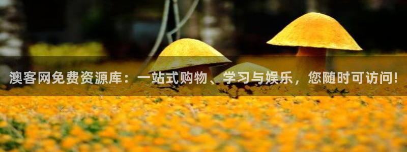 9815幸运彩：澳客网免费资源库：一站式购物、学习与娱乐，您随时可访问!