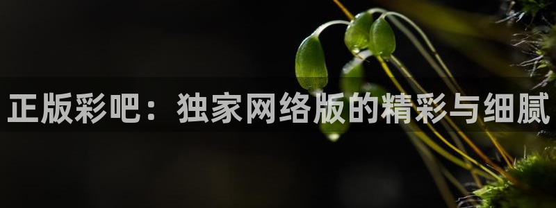 幸运彩网页：正版彩吧：独家网络版的精彩与细腻